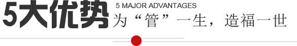 5大优势